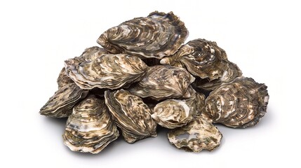 A Close - up View of Fresh and Juicy Oysters. These bivalve mollusks, with their rough, irregular shells, are a popular seafood delicacy