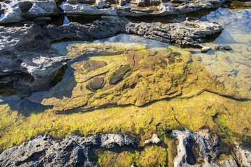 Flooded rock on the Moray Firth at Tarbat Ness, Scotland, United Kingdom, Europe