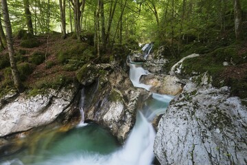 Lepenjica River, Cascades, Triglav National Park, Slovenia, Europe