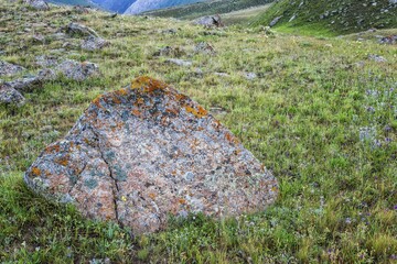 Rocks and Lichens, Naryn gorge, Naryn Region, Kyrgyzstan, Asia