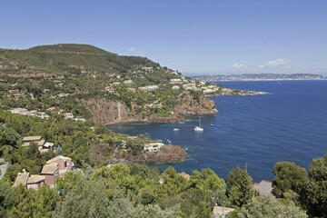 Obraz premium Coast near Miramar, Cote d'Azur, France, Europe
