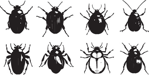 A set of insects silhouettes for flat design. Hand drawn vector illustration
