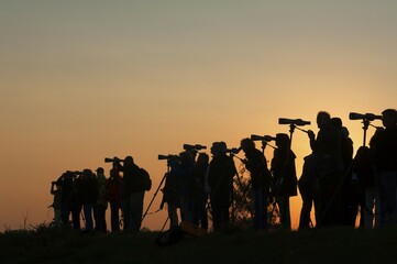 Bird watching, silhouettes of people with binoculars against the evening sky, Zingst, Darß,...