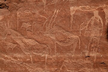 Rock engravings in the Huab Dry River, Kunene Region, Namibia, Africa
