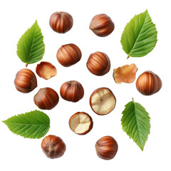 Fresh Chestnuts and Green Leaves Arranged on White Background