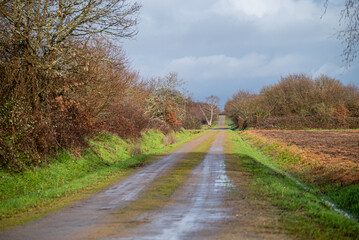 Fototapeta premium dirt road in a rural area after spring rains, background for calm concept