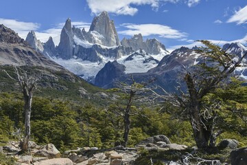 Gnarled trees in front of summit massif of the Fitz Roy, national park Los Glaciares, Andes,...