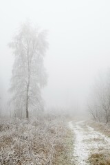 Winter landscape, Hesse, Germany, Europe