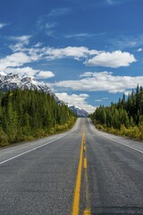Highway Icefields Parkway, Highway 93, Canadian Rockies, Alberta Province, Canada, North America