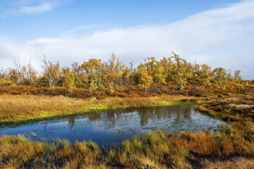 Small lake in autumnal landscape, Norrbottens, Norrbottens län, Laponia, Lapland, Sweden, Europe