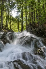 Waterfall in the Dr. Vogelgesang gorge at the Trattenbach, Spital am Pyhrn, Traunviertel, Upper Austria, Austria, Europe