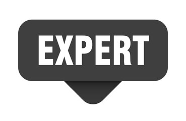 expert sticker. expert sign on transparent background
