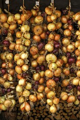 Red and white onions, tied to plaits, onion plaits, Greding, Middle Franconia, Franconia, Bavaria, Germany, Europe