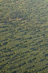 Aerial view, landscape in morning light, Bangweulu swamps, Luapula Province, Zambia, Africa