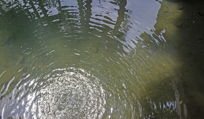 Ripples on a Small Rural Lake - Tranquil Water Movement in Nature