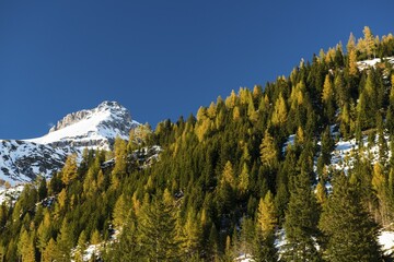 Autumn in the Riedingtal Nature Park, Schliereralm, autumn colours, larches, first snow, Zederhaus, Lungau, Salzburg, Austria, Europe
