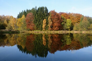 Trees, autumnal colours, reflection in a lake, Snogeholm, Scania, Sweden, Europe