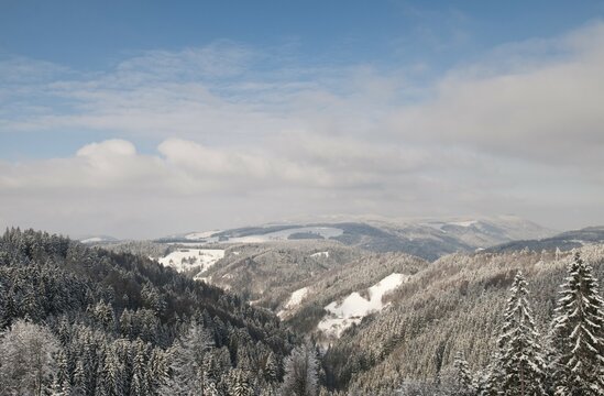 Snow-covered hills of the Black Forest, view on Mt. Kandel in winter, Black Forest, Baden-Wuerttemberg, Germany, Europe