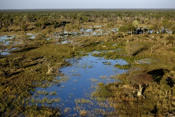 Marsh landscape, aerial view, Gomoti Plains, Okavango Delta, Botswana, Africa