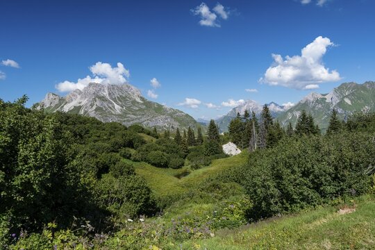 Karhorn, Gipsl&ouml;cher Nature Reserve, Lechquellen Mountains, Vorarlberg, Austria, Europe