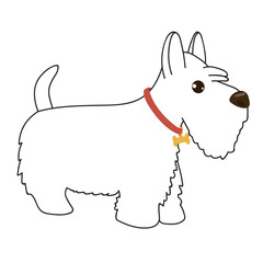 Hand drawn vector illustration with black and white outline dog. Funny dog with a bright collar.