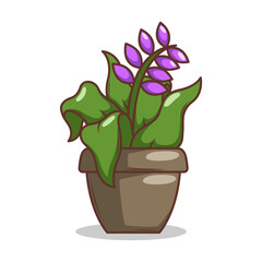 Home plant cartoon style. potted plant isolated on white