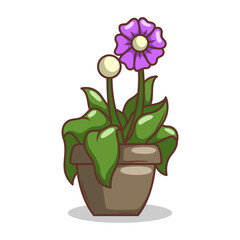 Home plant cartoon style. potted plant isolated on white