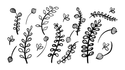 Hand drawn flower or floral scribble doodle line elements set. Vector design elements collection.