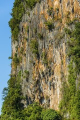 Karst landscape, forested karst mountains, detail, Vang Vieng, Luang Prabang Province, Laos, Asia