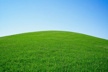 Name: A gentle green hill with wildflowers under a clear blue sky, representing the tranquility of nature and simplicity