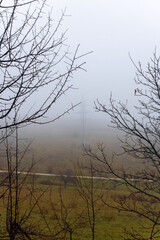 Wet autumn branches, yellow orange grass. High voltage pole dissolves in fog in the background