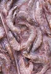 Frozen shrimps