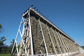 Gradierwerk Bad Kosen, Saxony-Anhalt, Germany, Europe