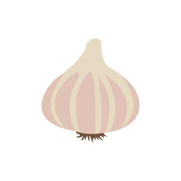 garlic onion vector symbol sign icon illustration 
