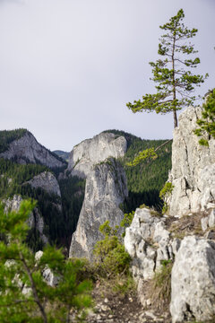 A Stunning Mountain View Displays Towering Rock Formations, Lush Green Forests, Rugged Cliffs, And A Lone Tree Against A Cloudy Sky
