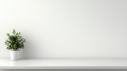 Obraz premium Minimalist Interior with Green Plant on White Surface Background