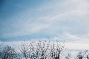 冬の空