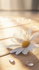 Fototapeta premium White daisy on wood, soft light, water droplets.