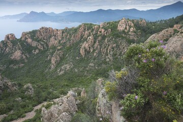 World Heritage Calanches de Piana, Piana, Corsica, France, Europe