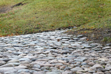 
an old country stone pavement forming a small square or street, the stones of which are covered with grass and other small plants.