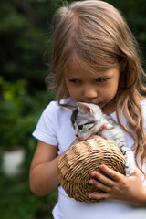 A cute little child girl kissing a gray kitten in a basket outdoors in nature