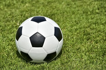 Obraz premium Black White soccer, leather ball on lawn