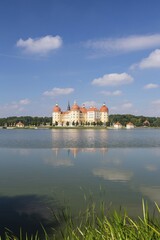 Moritzburg Castle and castle pond, Moritzburg, Saxony, Germany, Europe
