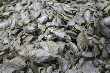 Dried fish at a market, Cambodia, Asia