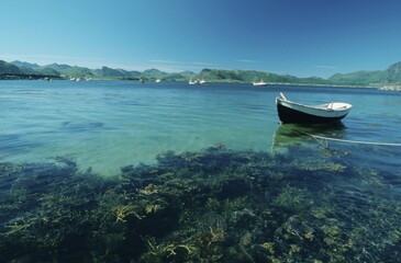 Rowing boat in bay, Lofotes, Norway, Europe