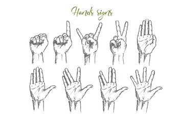 Fototapeta premium Vector hand drawn Hand signs concept sketch. Set of human palms with different gestures meaning different signs. Lettering Hands signs