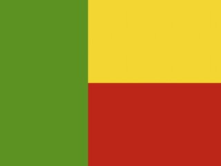 Official national flag of Benin