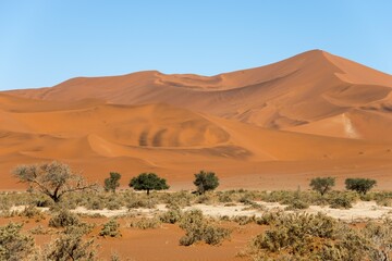 Sand dunes in the Namib-Naukluft National Park, Namib Desert, Namibia, Africa