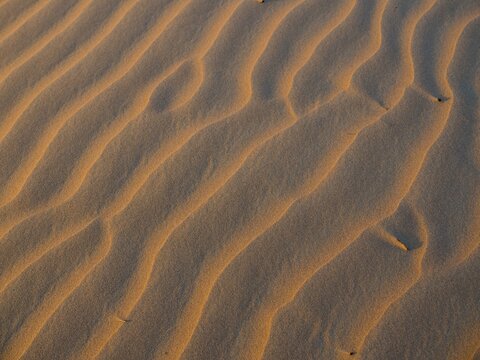 Sand dunes, evening light, patterns, desert, Sharqiya Sands or Wahiba Sands, Al Raka, Oman, Asia