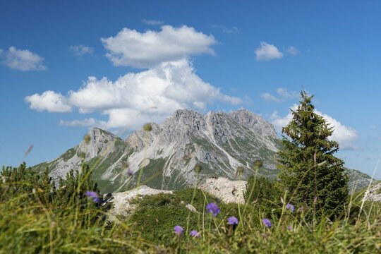 Karhorn, Gipsl&ouml;cher Nature Reserve, Lechquellen Mountains, Vorarlberg, Austria, Europe